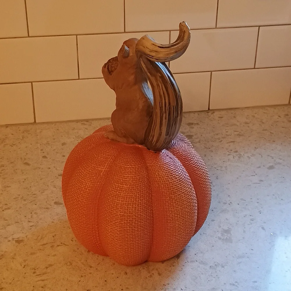 Martha Stewart Fall Squirrel Pumpkin Decor